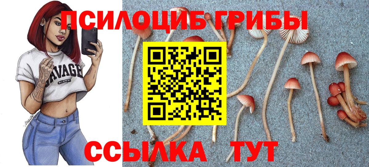 Галлюциногенные грибы Cubensis  Вход с VPN  Калининград  цены наркотик  Галлюциногенные грибы Psilocybe 