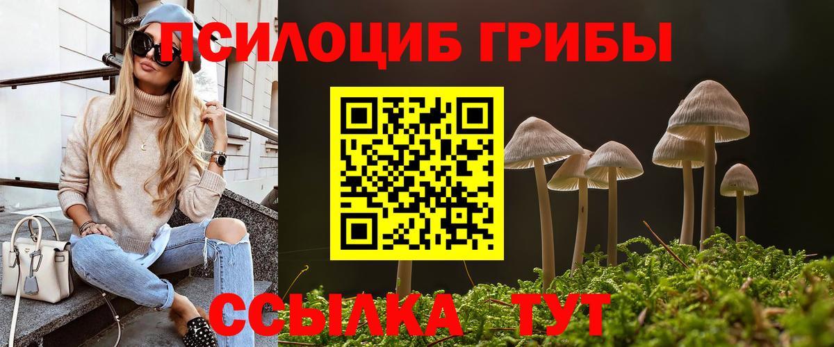 Галлюциногенные грибы мицелий Калининград
